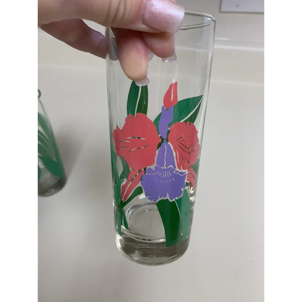 Vintage Libby Tropical glasses birds of paradise iris replacement set of 2